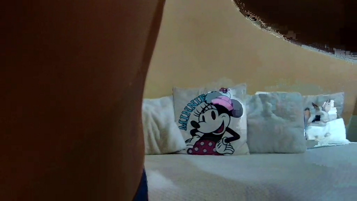 SweetWiki23