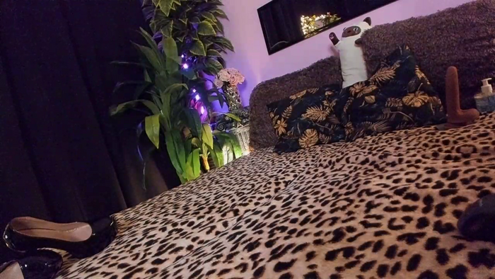 CuteCalypso