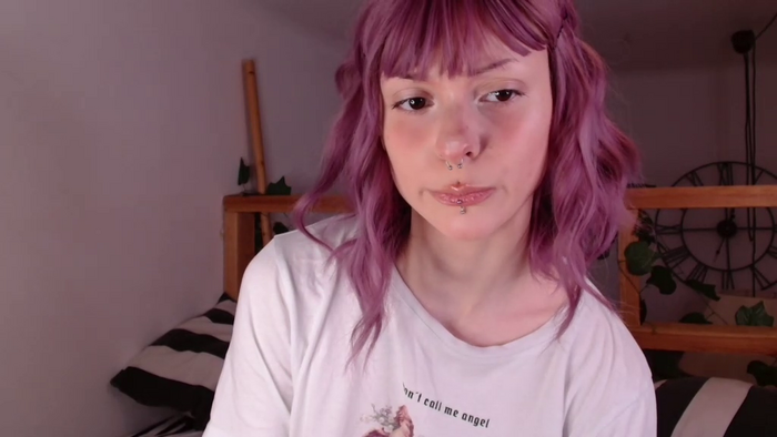 venuslut