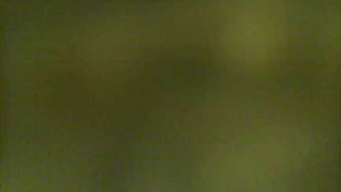 Obecnie_obecna