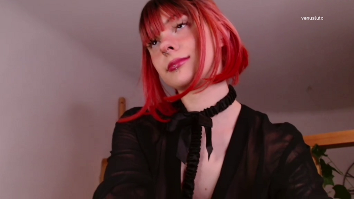 venuslut