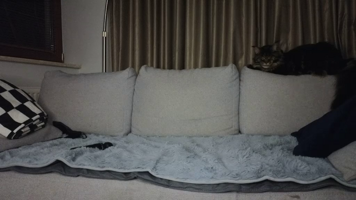 Lily24