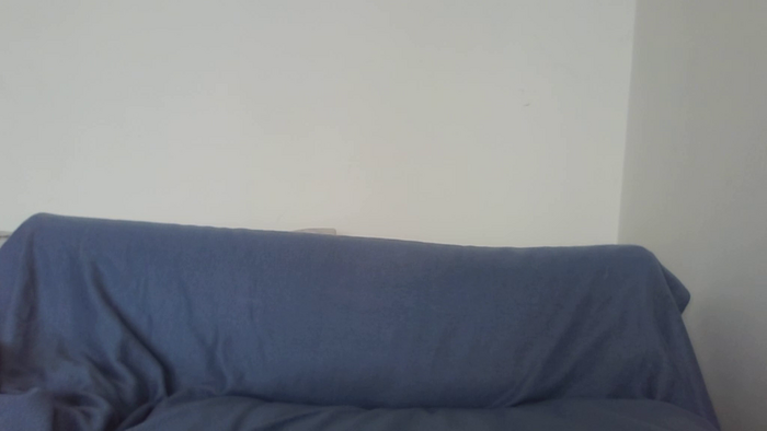 velvetcat