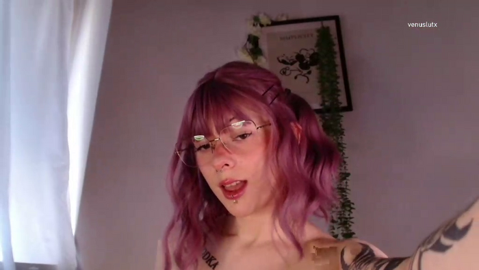 venuslut