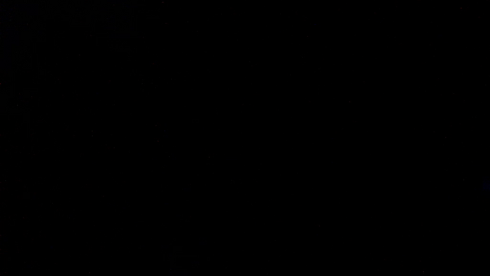 TajemniczaZwodzicielka
