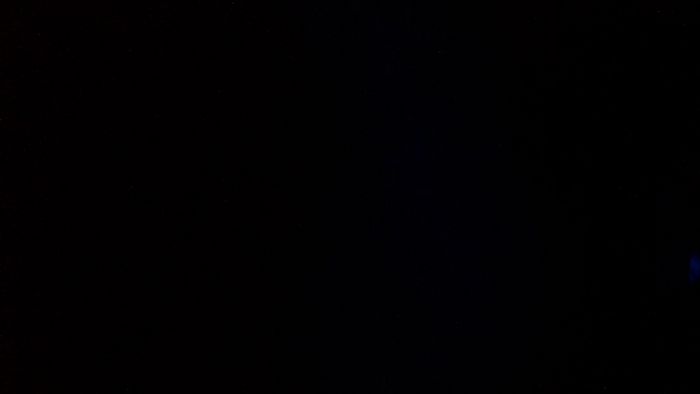 TajemniczaZwodzicielka