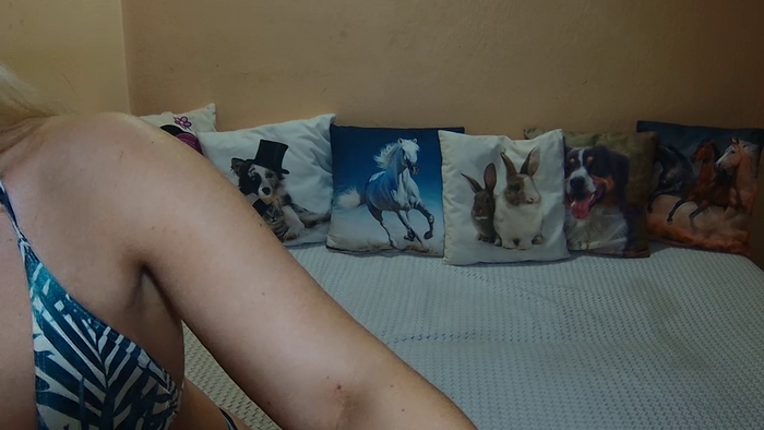 SweetWiki23