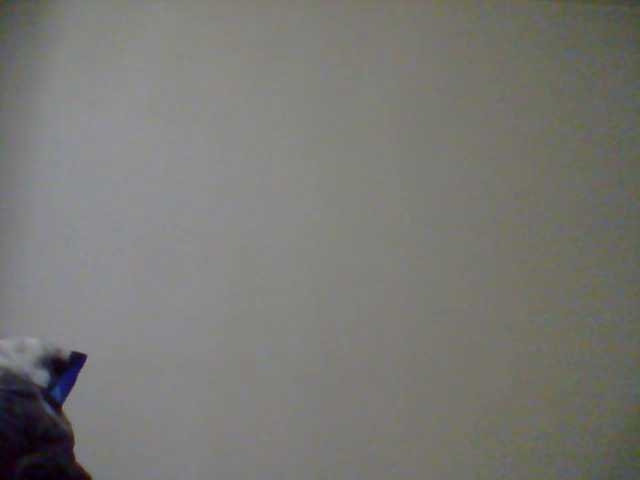 Lanetti74