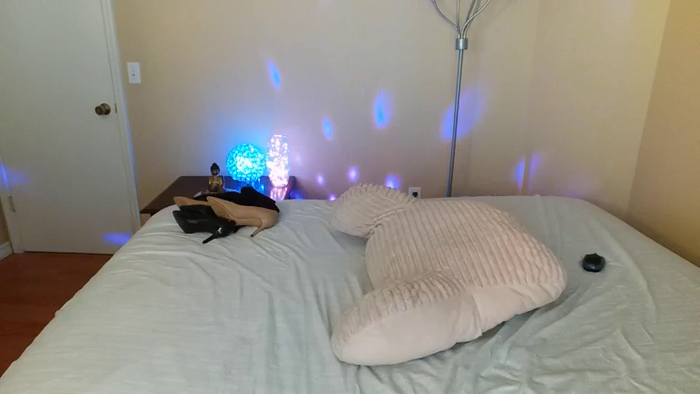 Bella_shine