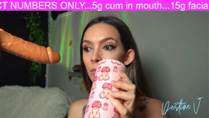 DestineV