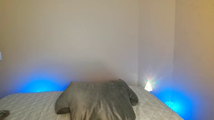 Bella_shine