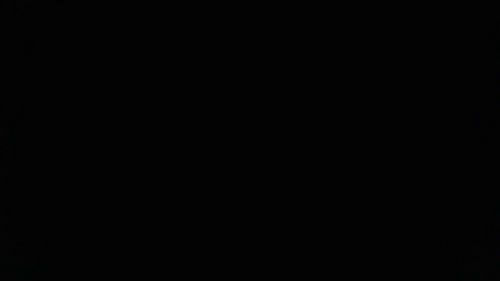 AriaCoxs