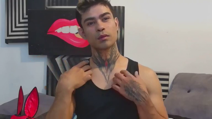 stefanoeverett