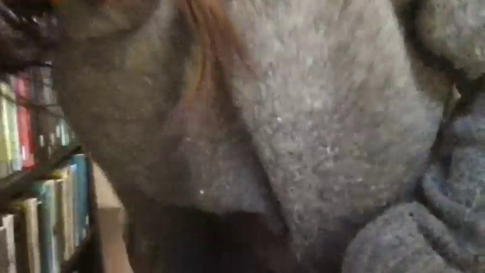 LucyxLocketx