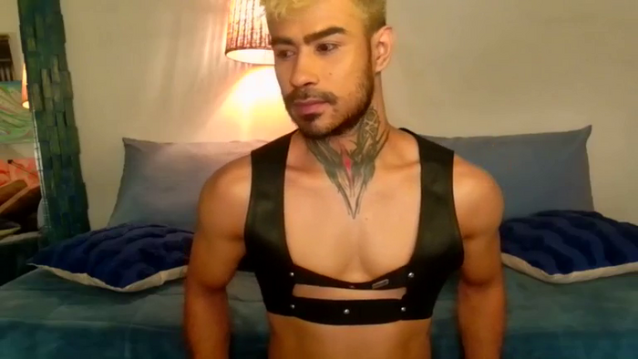 stefanoeverett