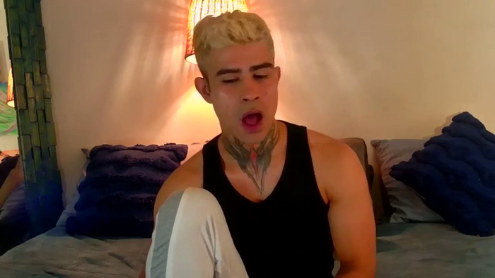 stefanoeverett