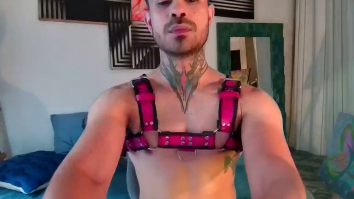stefanoeverett