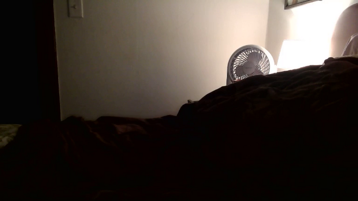 Yourmorningwakeupcall