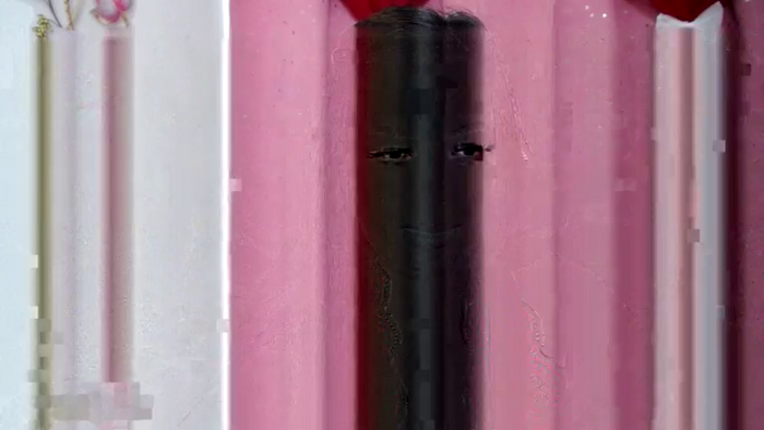 AsianBeautysndtheBeast
