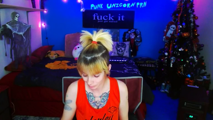 PunkUnicorn