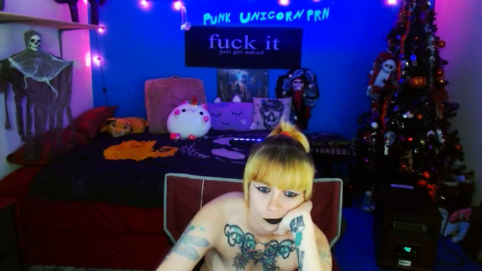 PunkUnicorn