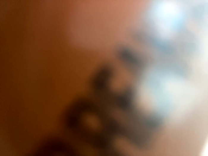 Bigbuttbrooklynn