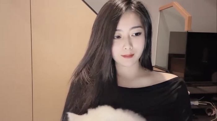 AAdestiny