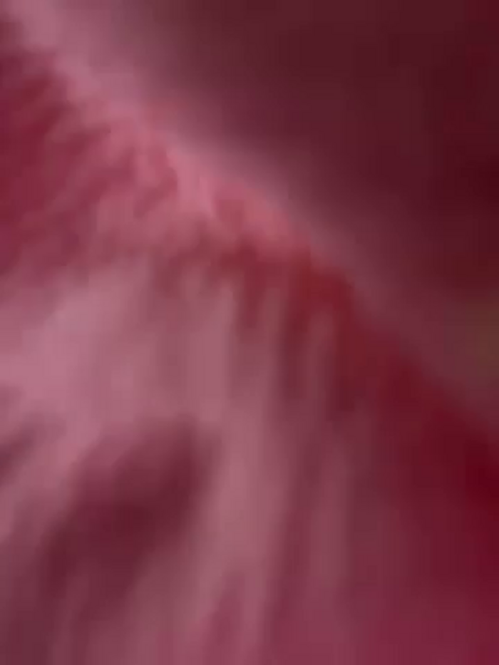 JordanXo