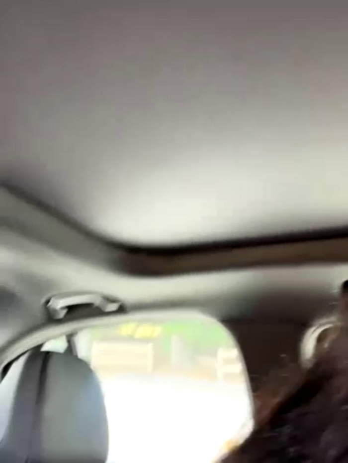 clairewntr