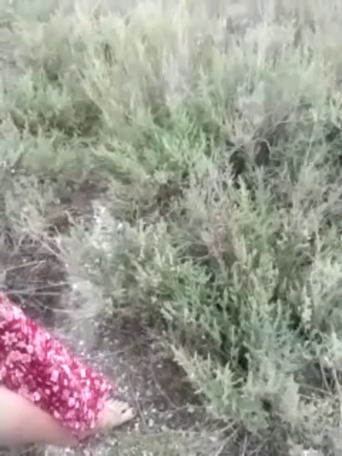Aphroditexxx69