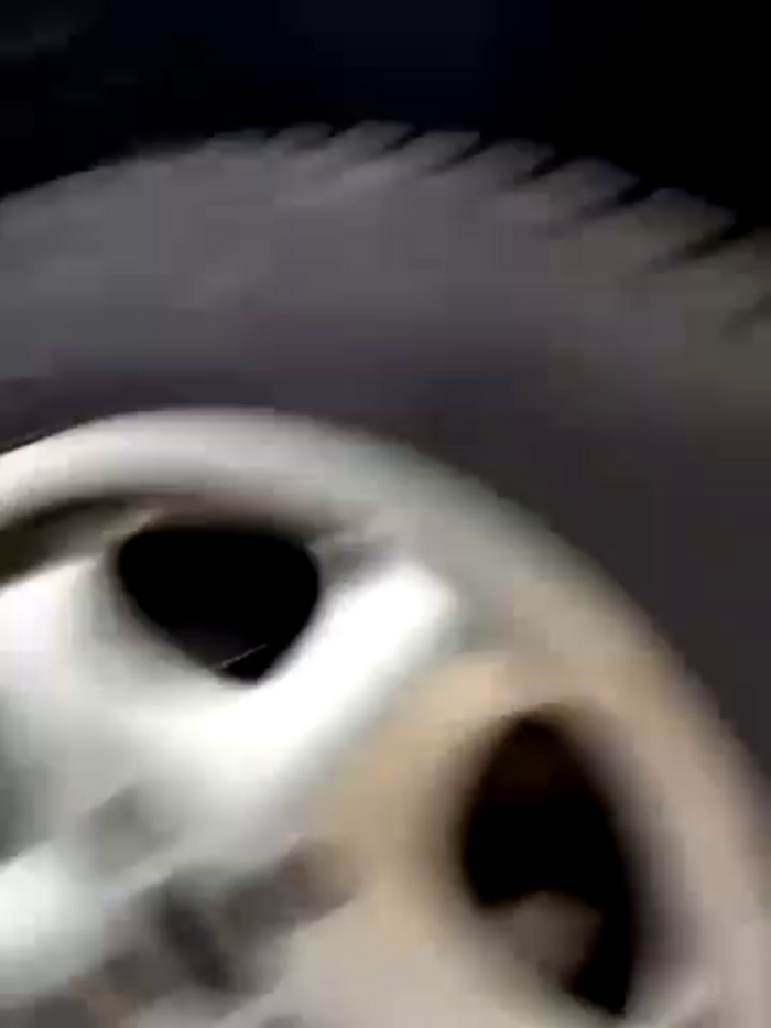 clairewntr