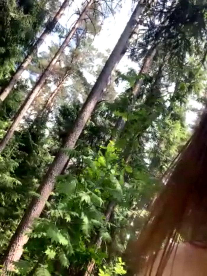 SexyGirl1____