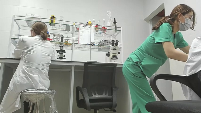 NaughtyLab_Office
