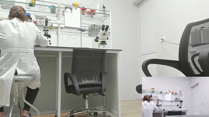 NaughtyLab_Office