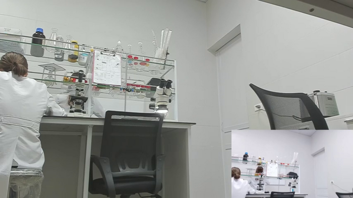 NaughtyLab_Office