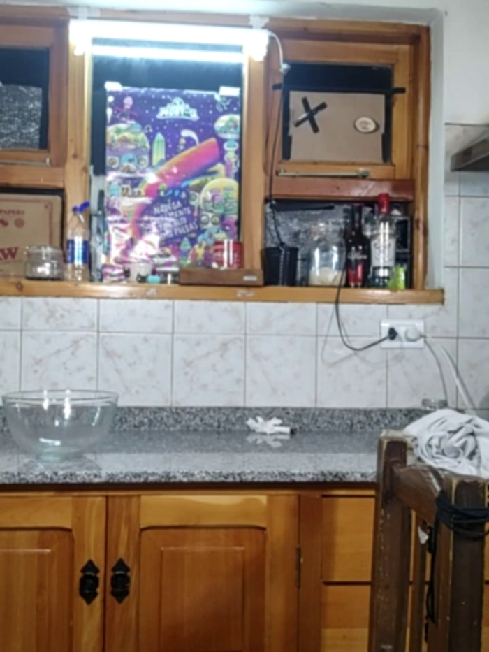 Elnonoykeila77