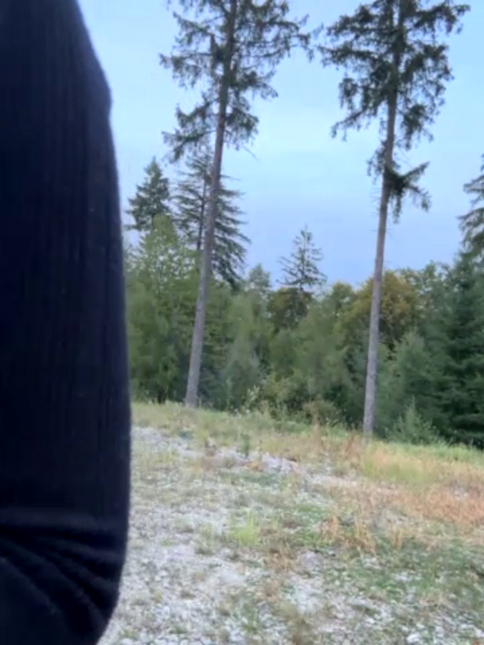 clairewntr