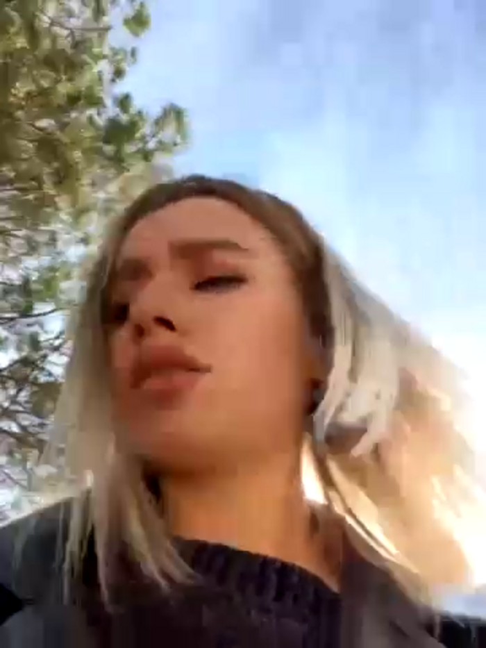 SSSATIVA_model