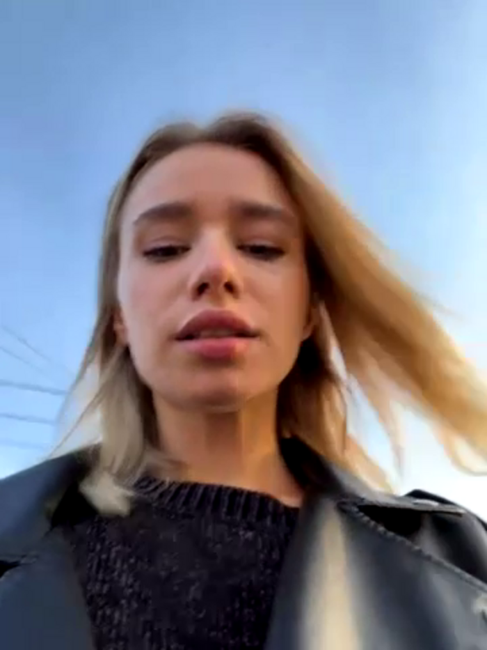 SSSATIVA_model