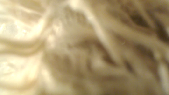 mina_sauvage