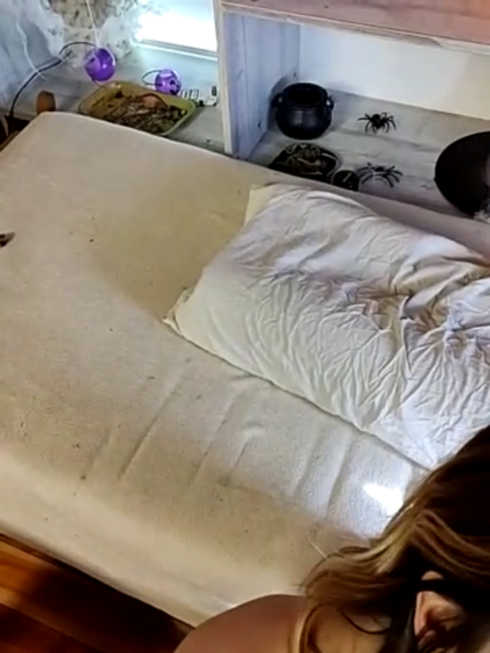 Elnonoykeila77