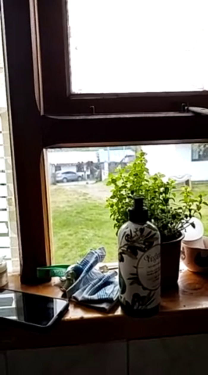 Elnonoykeila77