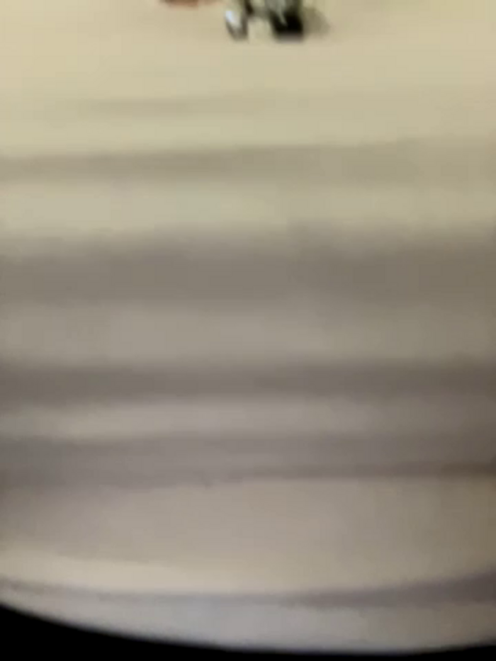 didihairypussy