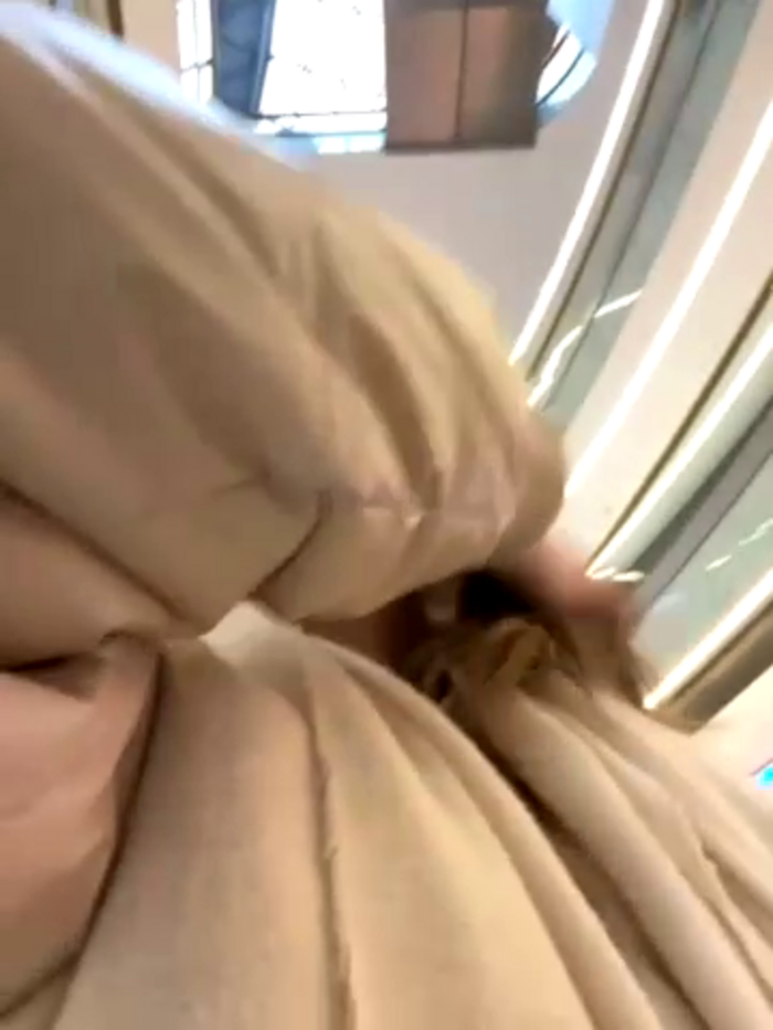 -AngelAri-