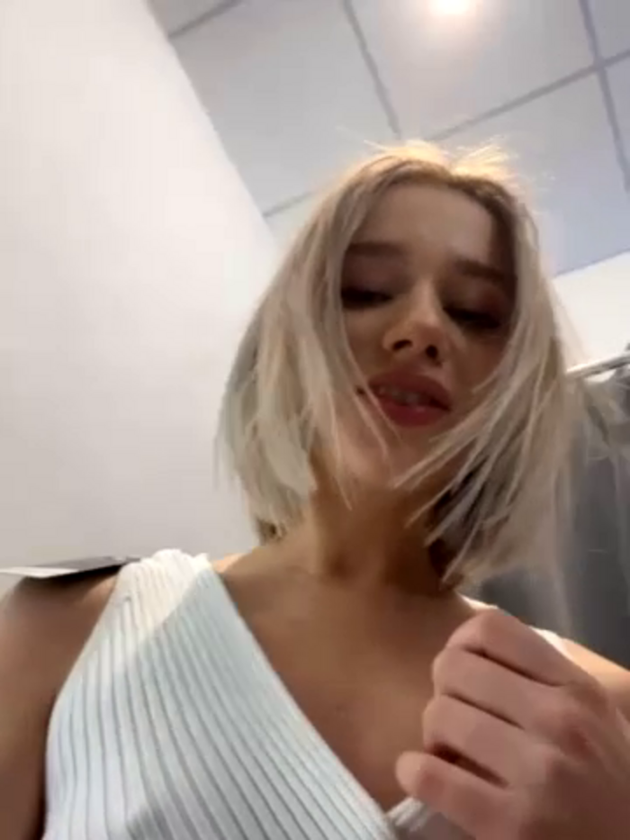 SSSATIVA_model