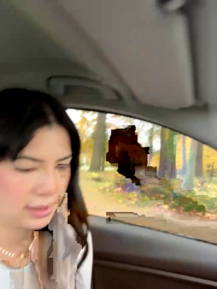 clairewntr