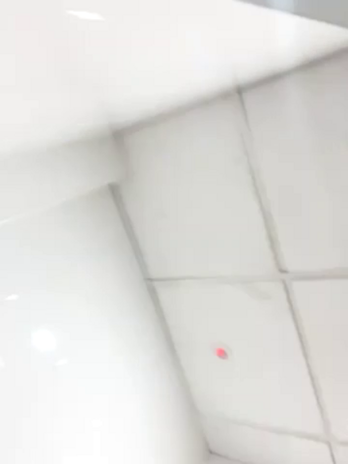PennyPrincess