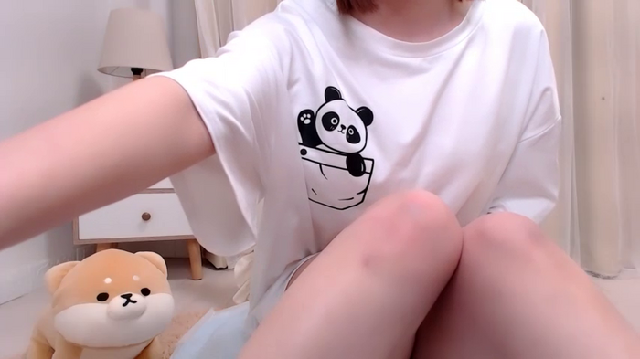 HONO_cha