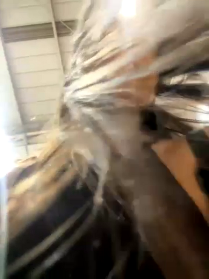 dominantandsubmissiveshow