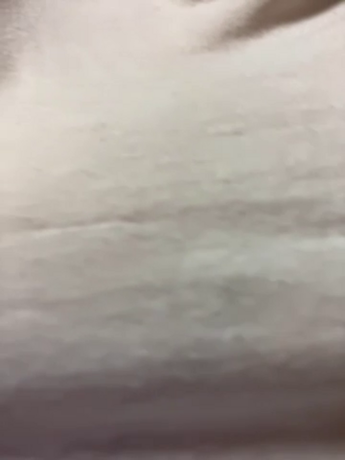 didihairypussy